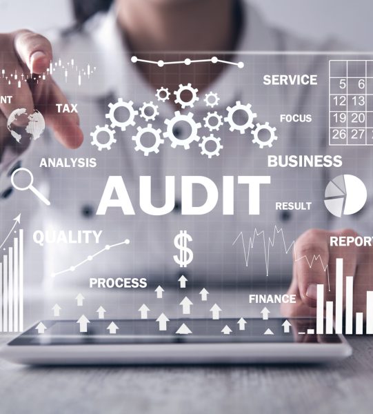 Audit-Your-Own-Accounting-